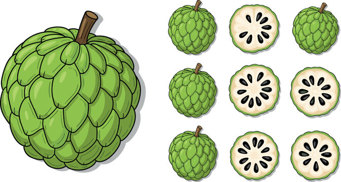 Cherimoya Fruit with Detailed Cross-Sections Showing Black Seeds and Green Scaly Skin for Tropical Food Illustrations