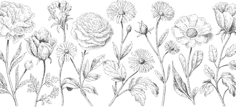 Black White Floral Flower Border Line Art Vector Illustration vector design on transparent background.