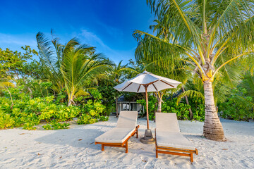 Sunny beach sunbeds umbrella palm trees relax nature outdoors summer vacation tranquil couple travel tropical paradise luxury resort ocean shore sandy coastal landscape scenic background © icemanphotos