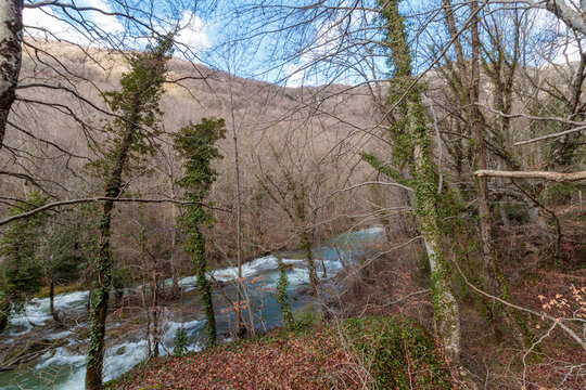 Forest river rapids flowing through winter landscape