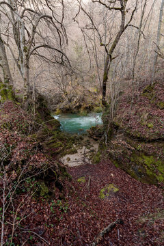 Wild river stream flowing through autumn forest