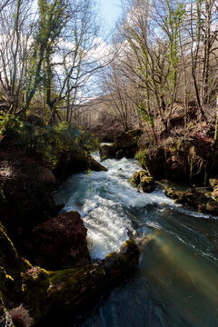Rushing river flowing through forest with sun light