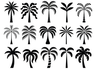 Fototapeta premium High quality vector of set of black silhouette palm trees, different shapes and styles.