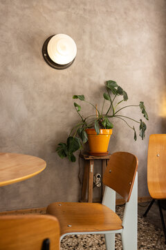 hip minimal cafe with wood chairs, smooth concrete wall, potted plants, and minimal light fixture