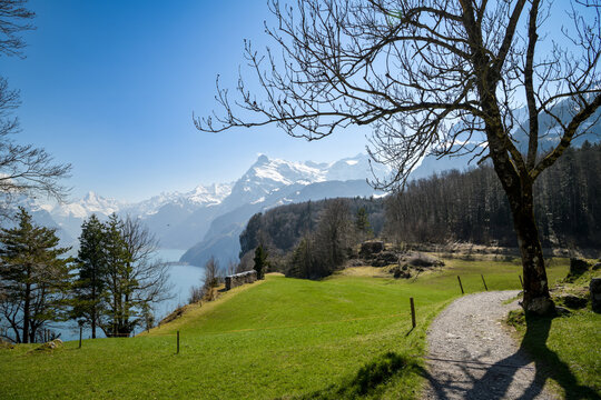 Hiking path winding through meadow above lake