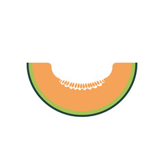 Fototapeta premium Fresh cantaloupe melon slice isolated on white background.