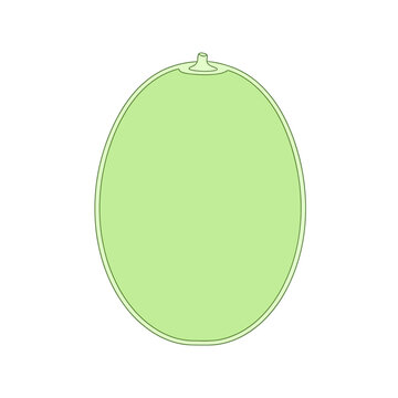 Minimalist green melon icon isolated on white background.