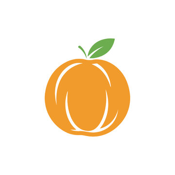 Minimalist Orange Fruit Vector Icon Logo Design.