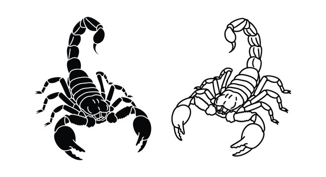Two scorpions in detailed black silhouette high quality professional modern elegant