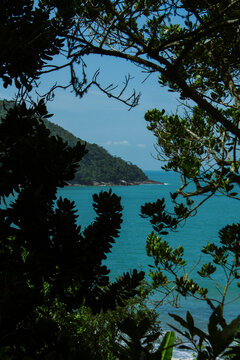 Vista do mar azul-turquesa atrav&eacute;s de galhos e folhas em primeiro plano. Ao fundo, uma ilha coberta por vegeta&ccedil;&atilde;o densa e c&eacute;u claro.