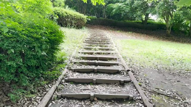 Nature's quiet path invites calm exploration