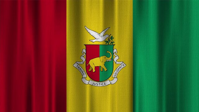 Guinea Flag Animation With Fabric Texture
