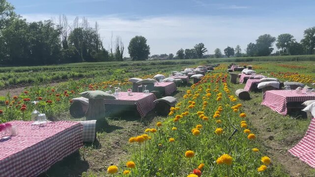 Al fresco Dining: Tables set amidst a field of blooming flowers, ready for a delightful outdoor meal. A sunny day promises a perfect culinary experience in this natural setting.