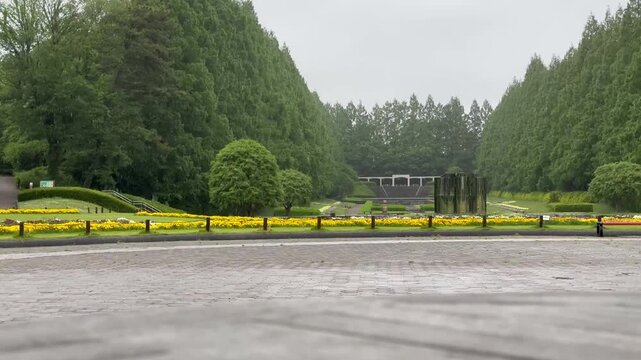 Rain falls gently on a quiet garden path