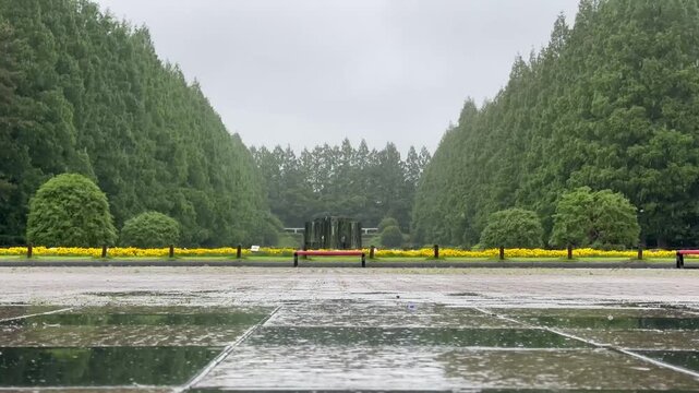 Rain taps wet stone paths