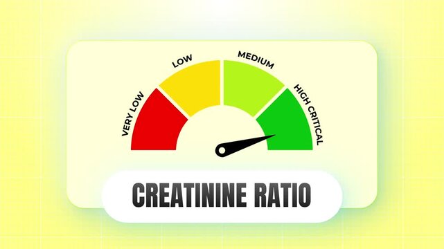 Medical Creatinine Ratio Gauge Animation for Kidney Health 4k video