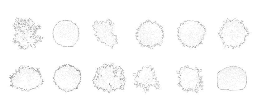CAD Shrubs and Bushes Vector Collection Architectural Plants Elevation View for Landscape Architecture AutoCAD Drawing Blocks