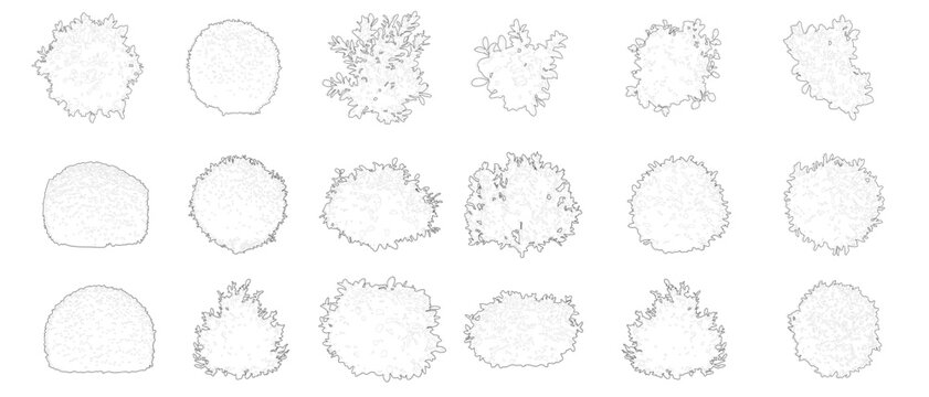 Architectural Bushes Vector Set CAD Plant Blocks Elevation View for Landscape Architecture AutoCAD Drawing Plant Elements Collection
