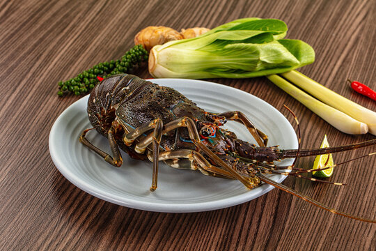 Raw fresh lobster for bowl