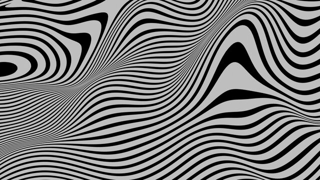 Black and White Abstract Zebra Stripe Waves and Optical Illusion Pattern