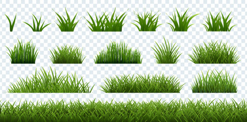 Obraz premium Big Grass Borders Set Isolated Transparent Background