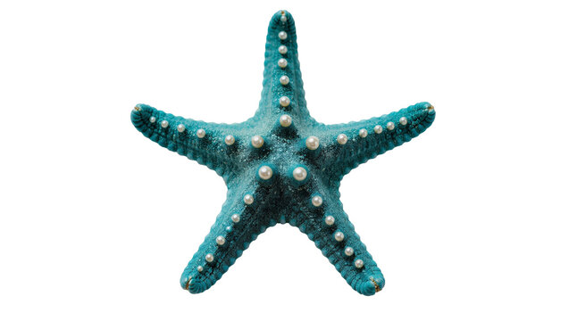 Blue textured starfish with white spots and tiny pearl details