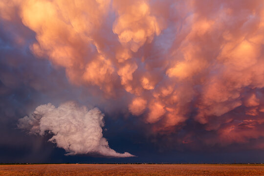 Mammatus clouds at sunset