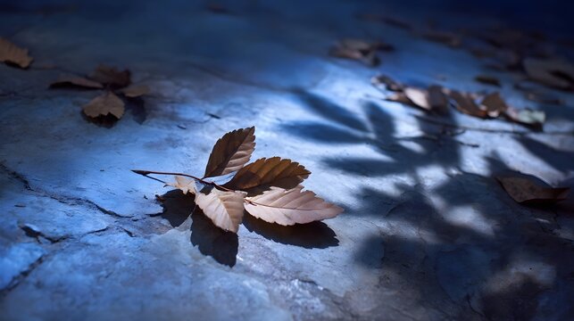 Autumn leaves scattered across a deeply textured cool toned surface highlighted by dramatic shadows and subdued natural light