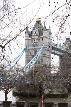 London Bridge through bare branches