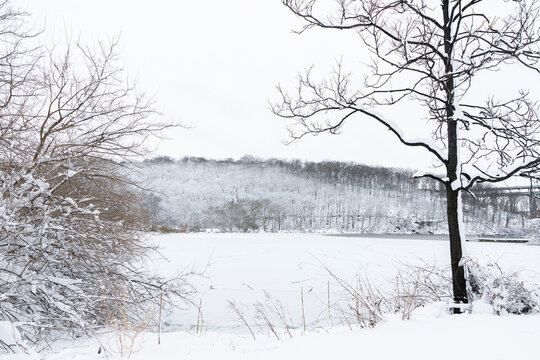 Snowy landscape in New York City park