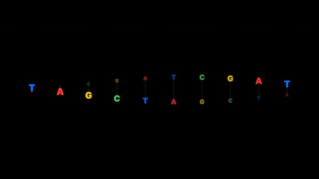 DNA Double Helix Structure With Moving Nitrogenous Base Pairs