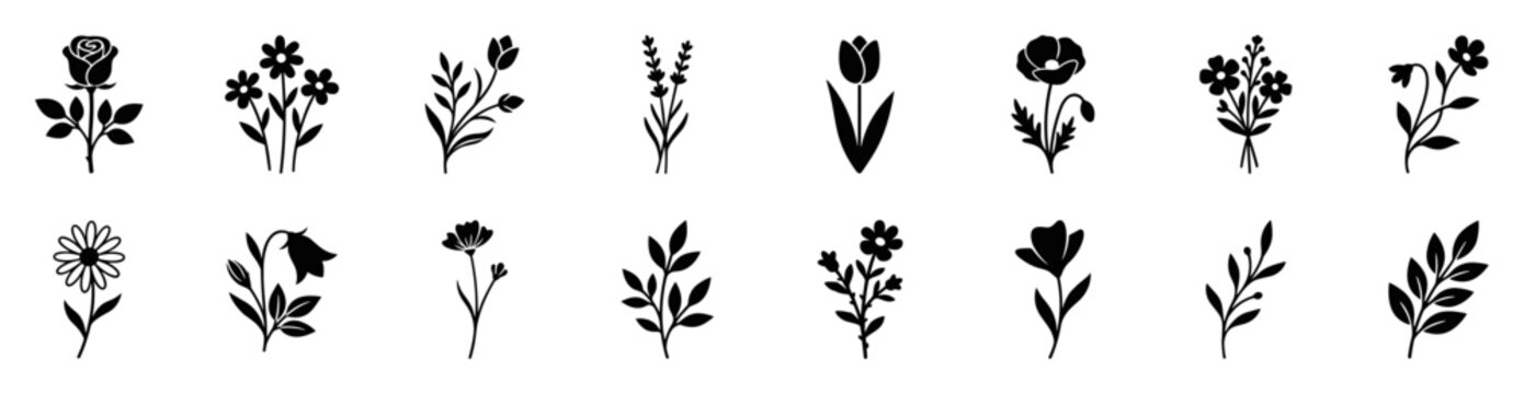 floral botanical flower silhouette icon set, rose tulip daisy and wildflower branches with leaves in vector collection isolated on transparent background