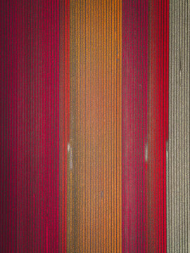 Aerial view of vibrant tulip fields with parallel rows of red, orange, and white flowers creating a geometric pattern in De Zilk, Zuid-Holland, Netherlands.