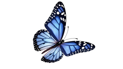 Blue patterned butterfly with black spots and delicate wings © Marigold