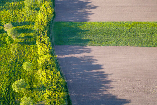 Rural area of wheat and plowed fields. Aerial view.