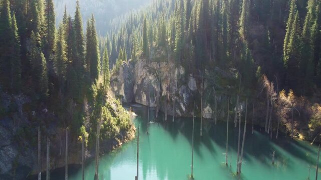 Low angle aerial view of turquoise lake and steep cliffs in sunlit spruce forest, mystical atmosphere, Tian Shan mountains, Kazakhstan, Kaindy. High quality 4k footage