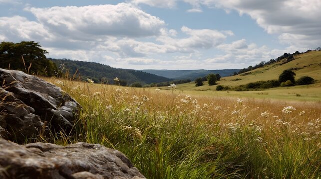 Wildflowers bloom in an expansive meadow set among gentle rolling green hills under a bright cloudy sky
