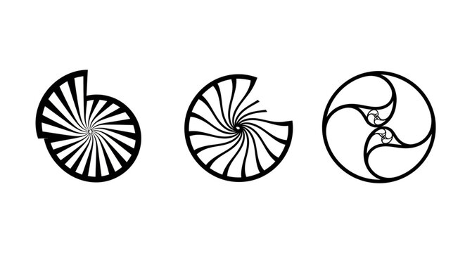 Abstract Geometric Spiral Patterns - Fibonacci Sequence and Swirls