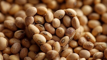 Obraz premium Soybeans are small, oval to slightly kidney-shaped seeds, but they are not heart-shaped. Their form is rounded with a subtle curve on one side
