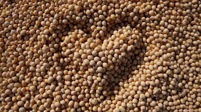 Soybeans are small, oval to slightly kidney-shaped seeds, but they are not heart-shaped. Their form is rounded with a subtle curve on one side