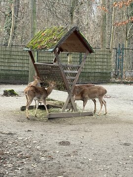 Blick in einen bekannten Zoo in Leipzig	