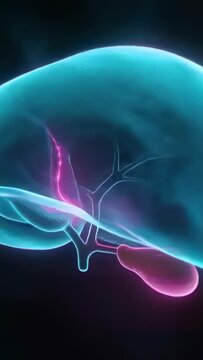 Vertical video: Camera orbiting, cyan organ pulsing magenta ducts, magenta sac in void for study