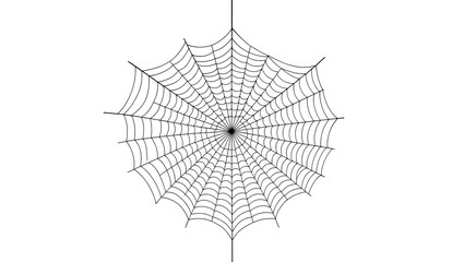 Obraz premium Delicate gray spiderweb pattern with radial symmetry and fine strands