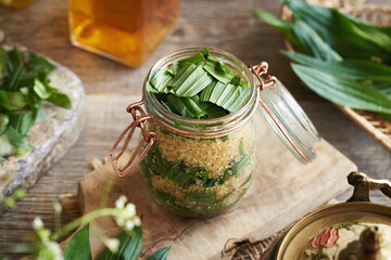 Glass jar filled with chopped ribwort plantain syrup leaves and sugar to prepare herbal syrup © Madeleine Steinbach