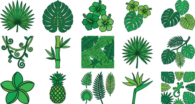 Hand-drawn Tropical Leaves, Flowers, and Plants Vector Set for Nature, Botanical, and Jungle Design Elements