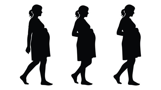 Pregnant women silhouettes three stages of pregnancy against a white background