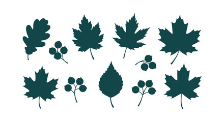 Collection of dark green leaf silhouettes including maple oak and birch with berry sprig elements © Tajul