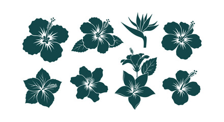 Set of Tropical Hibiscus and Bird of Paradise Flower Silhouettes for Exotic Floral Design Projects © Tajul