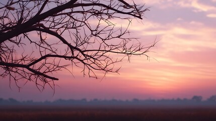 Fototapeta premium Silhouettes of bare tree branches framed against a vibrant gradient of pink and purple sunset hues over a tranquil open landscape