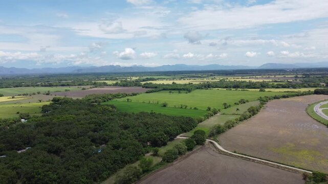 Aerial view of rice fields in El Espinal, Tolima